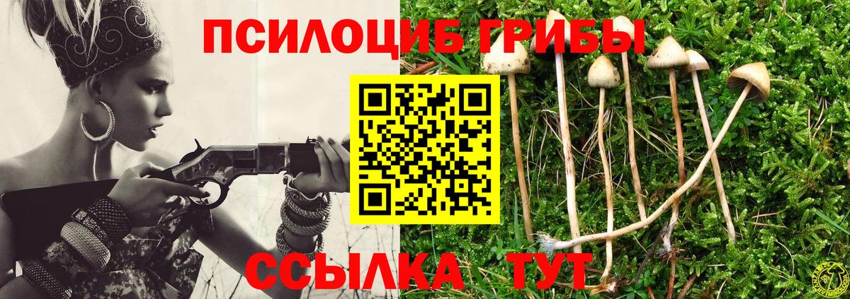 Псилоцибиновые грибы Psilocybine cubensis Лосино-Петровский
