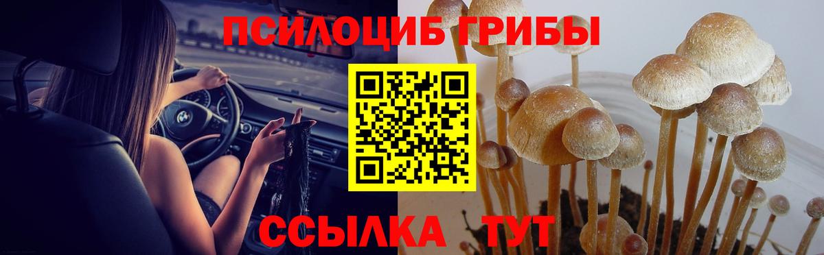 Псилоцибиновые грибы Magic Shrooms  Вход с VPN  Псилоцибиновые грибы мицелий  Лосино-Петровский 
